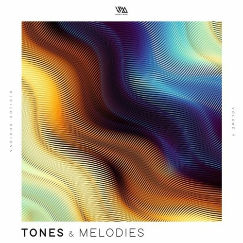 VA - Tones & Melodies, Vol. 9 [VMCOMP876]